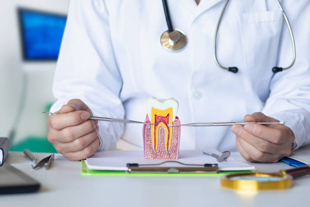 Best Dentist for Tooth Abscess  in Kingsley, IA